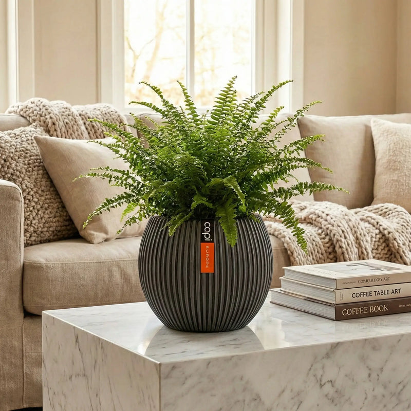 Matera Ball Groove 29 Cm - ambiente #ia - Tumatera.co