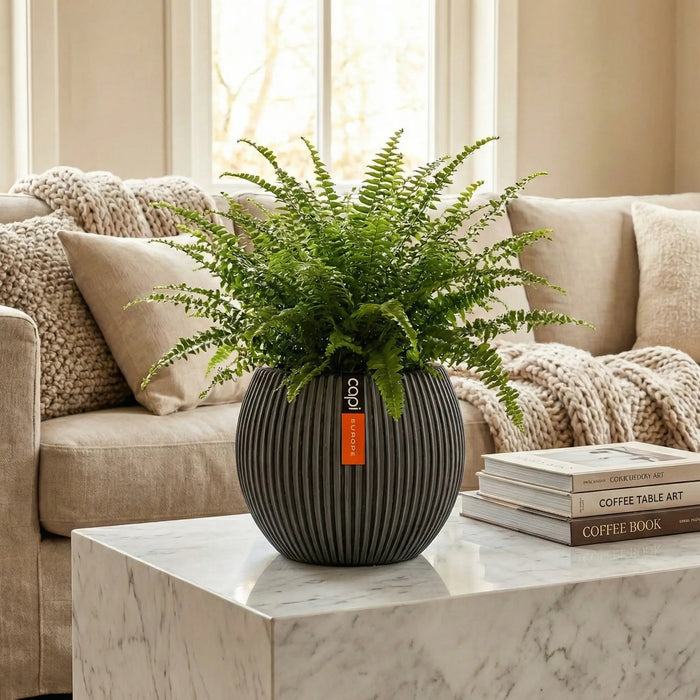 Matera Ball Groove 29 Cm - ambiente #ia - Tumatera.co