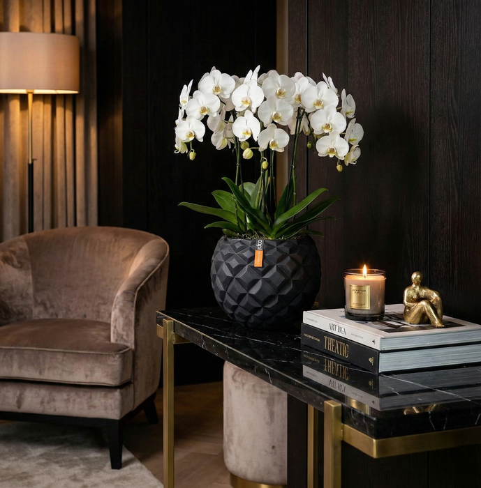 Matera Ball Heraldry 18 Cm