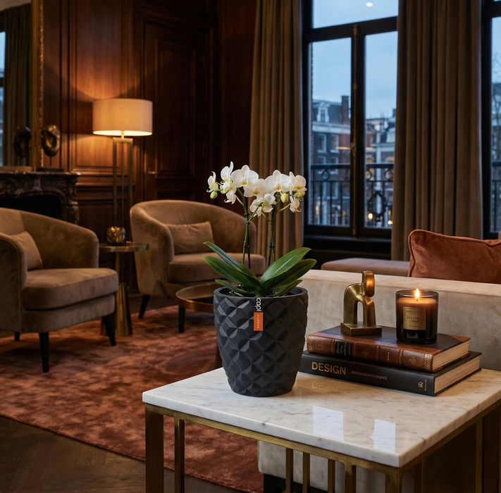 Matera Conic Round Heraldry 14 Cm