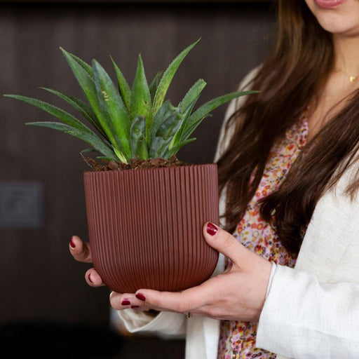 MATERA CONIC ROUND GROOVE 14 CM - Tumatera.co