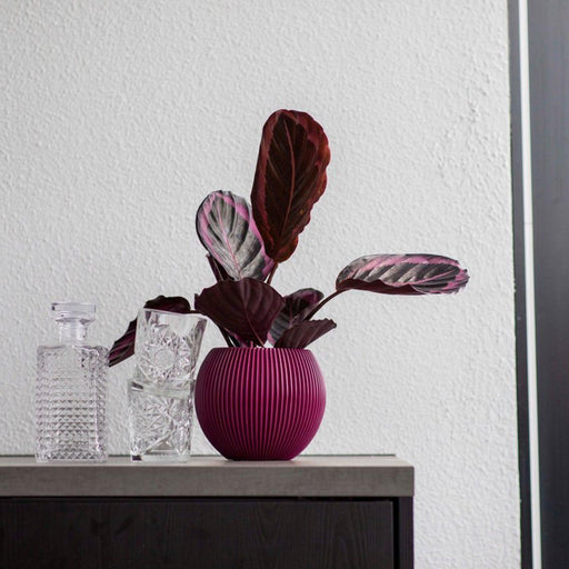 MATERA BALL GROOVE 18 CM - Tumatera.co