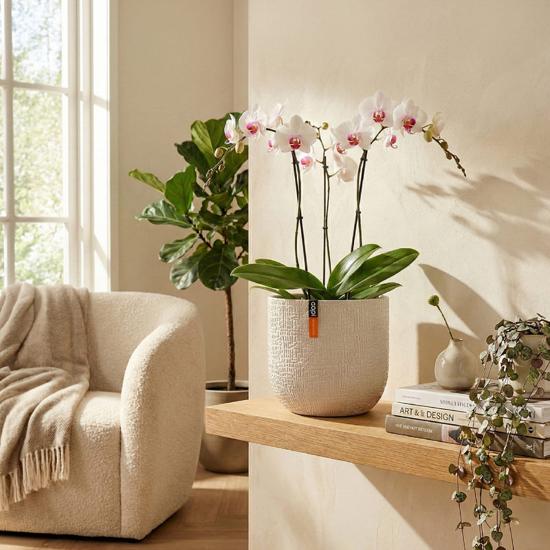 Matera Conic Round Skin 14 cm - ambiente #ia - Tumatera.co