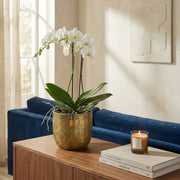 Matera Conic Round Blocks Gold 14 cm - ambiente #ia - Tumatera.co