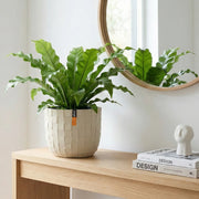 Matera Conic Round Blocks 17 cm - ambiente #ia - Tumatera.co