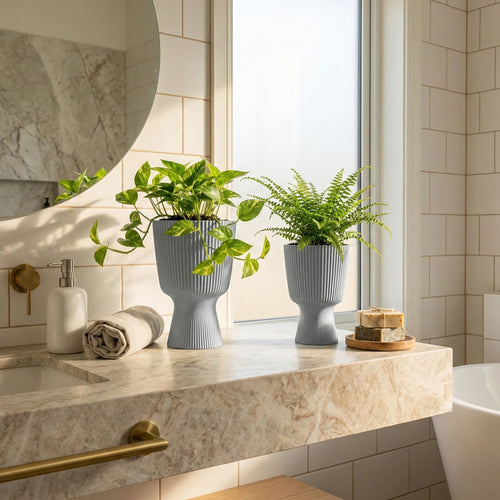 Set Respiro Natural S - Edición Milly x 2 - Tumatera.co