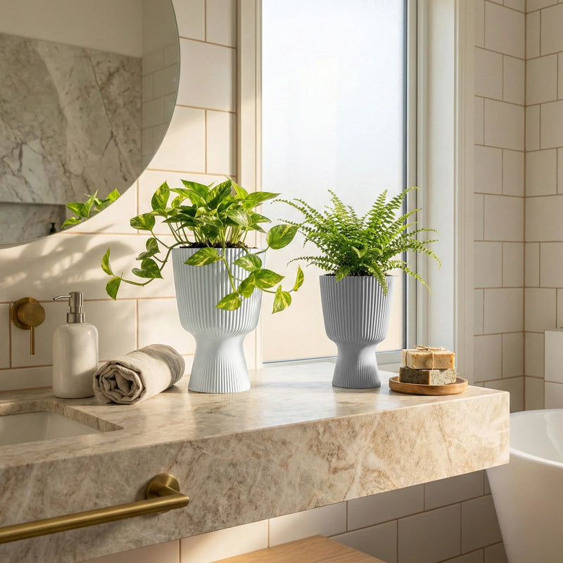 Renovación de tienda