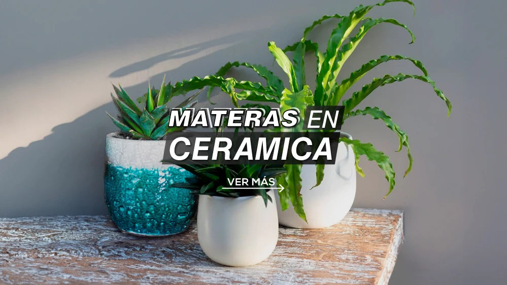 Materas en cerámica - Tumatera.com