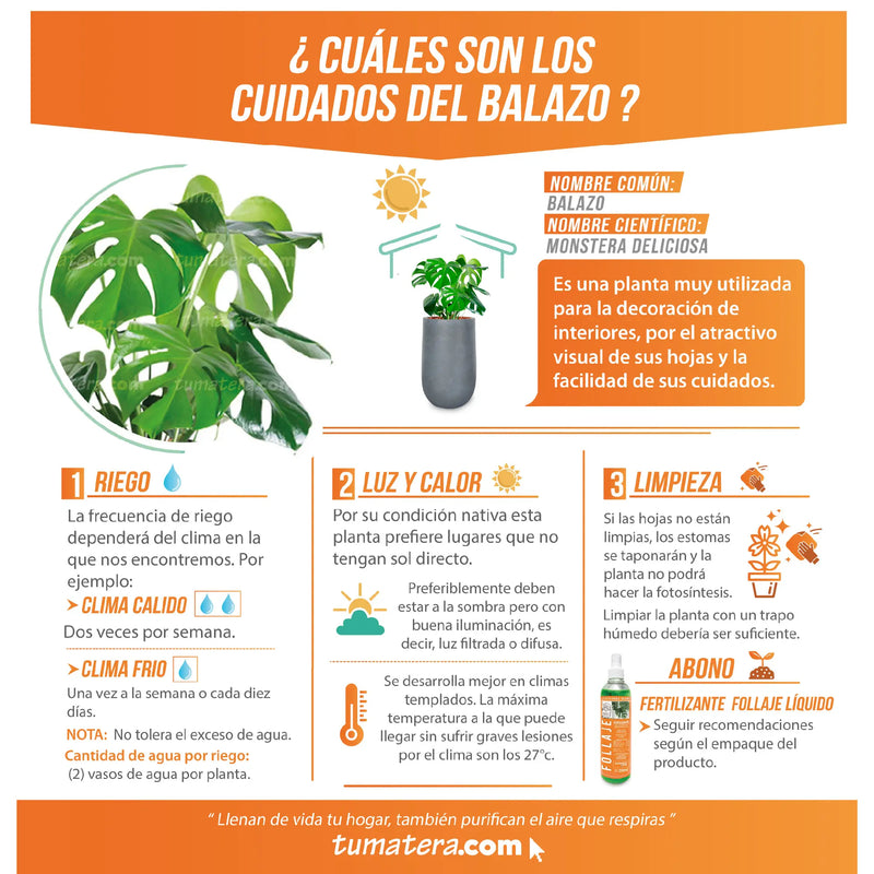 Combo Matera Fibro Arcilla 55 cm con Balazo