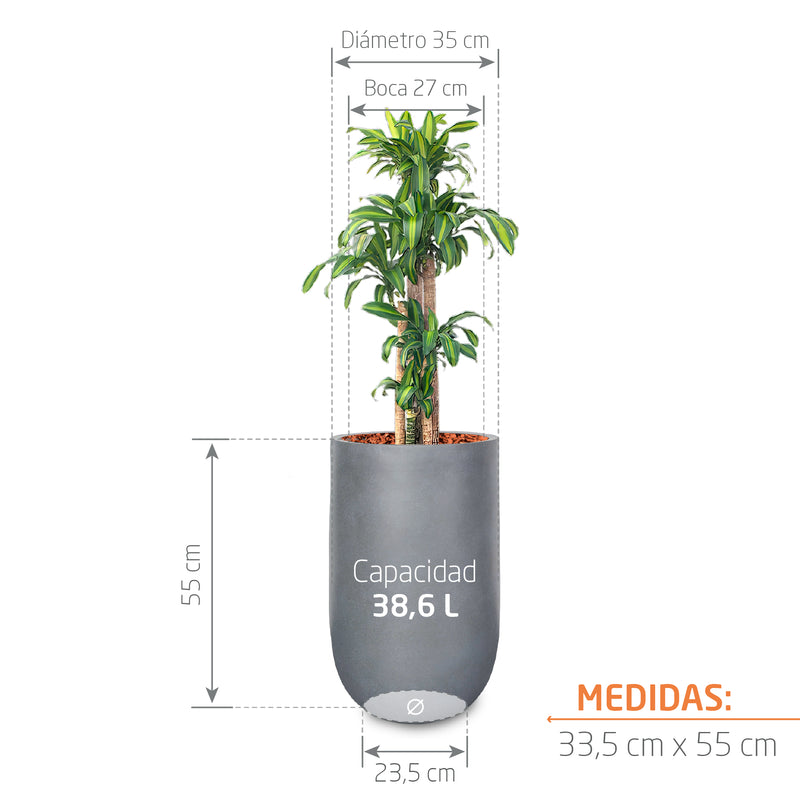 Combo Matera Fibro Arcilla 55 cm con Palo de Brasil