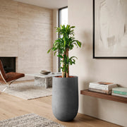 Combo Matera Fibro Arcilla 55 cm con Palo de Brasil -  ambiente #ia Tumatera.co