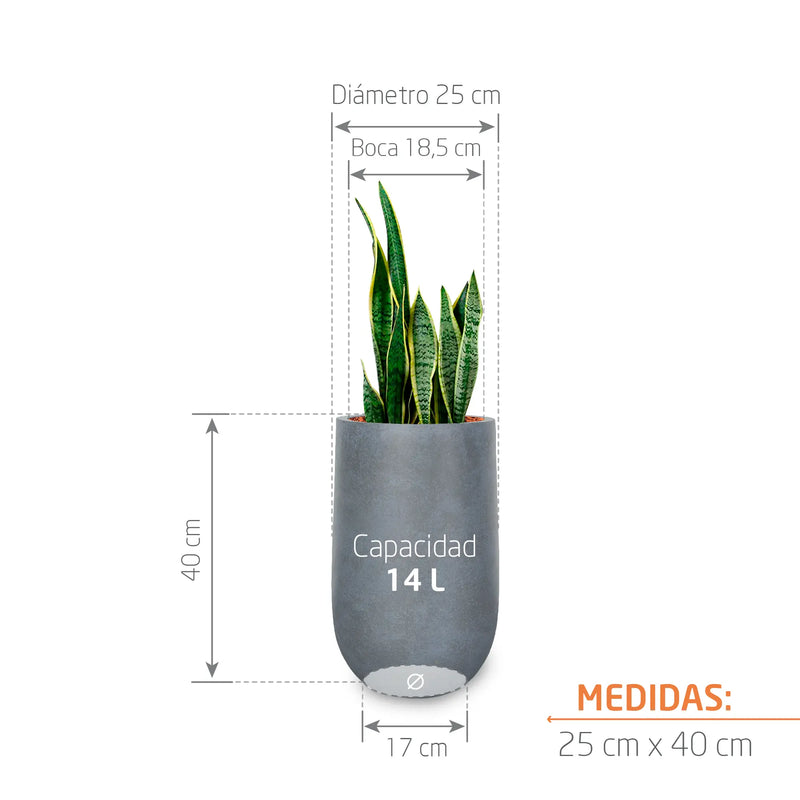 Combo Matera Fibro Arcilla 40 cm con Sanseviera