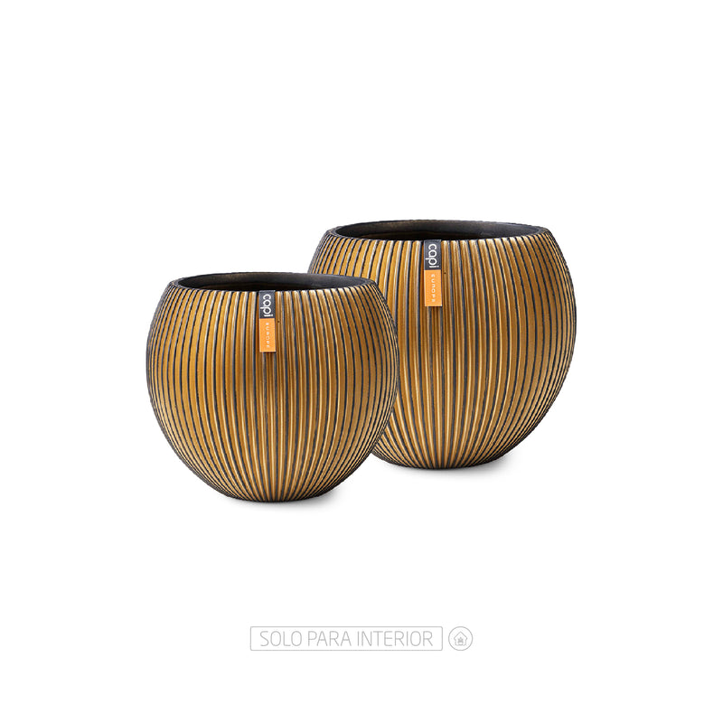 DUO BALL GROOVE GOLD - Tumatera.co