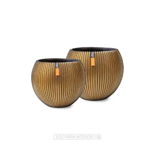 DUO BALL GROOVE GOLD - Tumatera.co