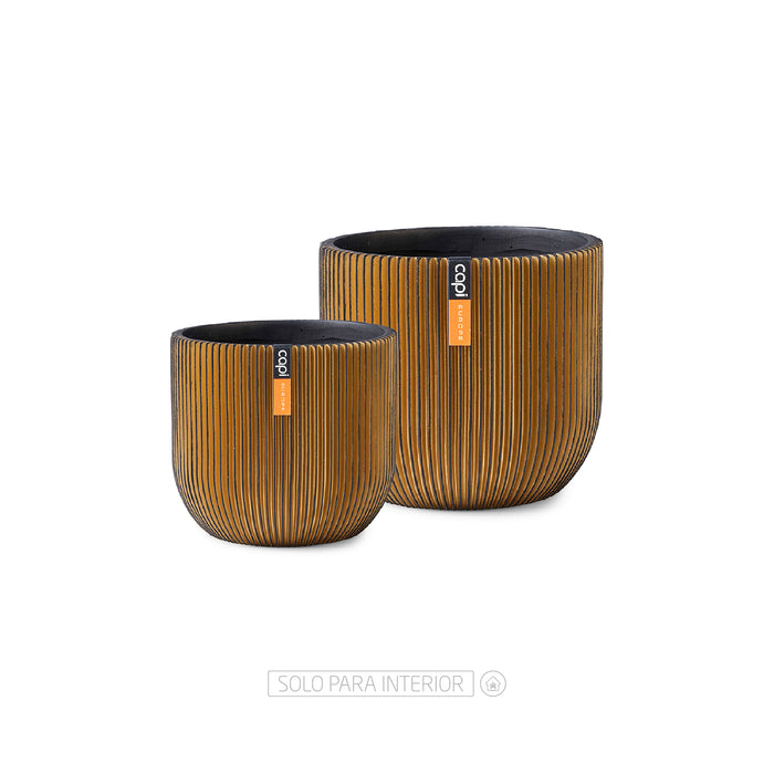 DUO CAPI CONIC GOLD - Tumatera.co