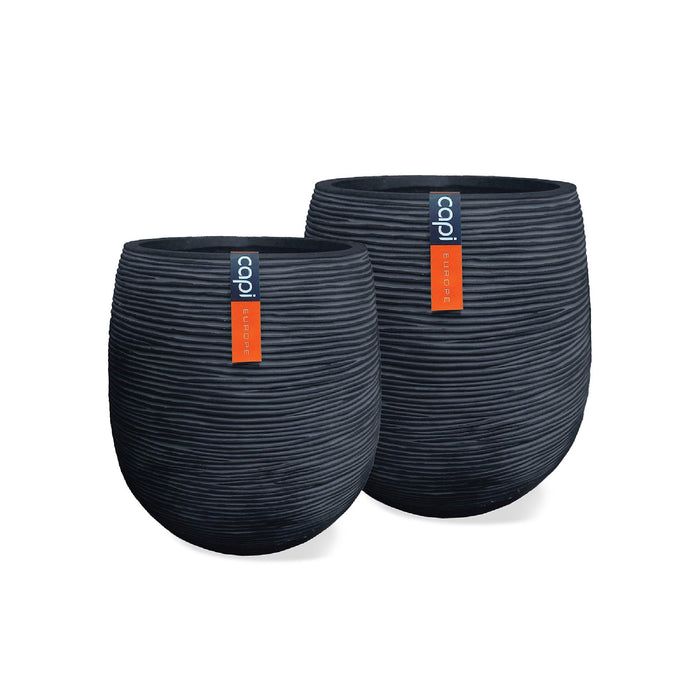 DUO EGG RIB - Tumatera.co