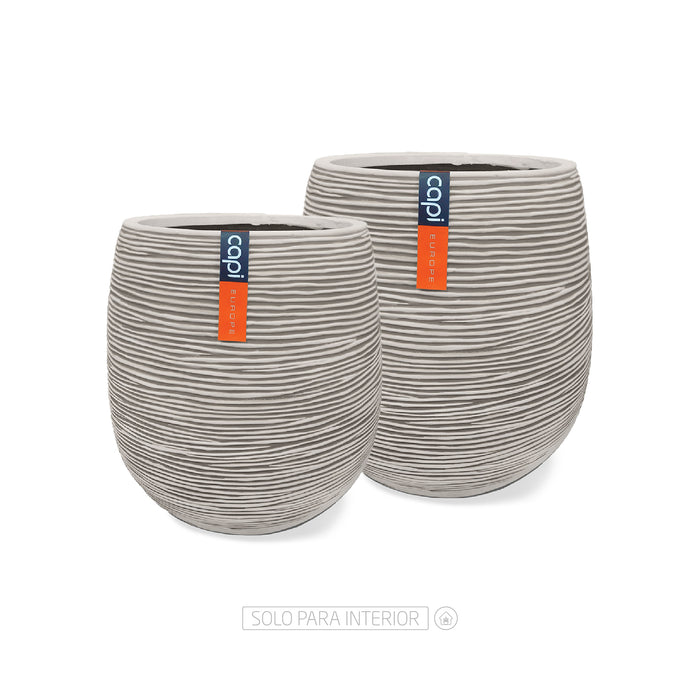 DUO EGG RIB - Tumatera.co