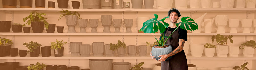 Formulario de Registro Distribuidores