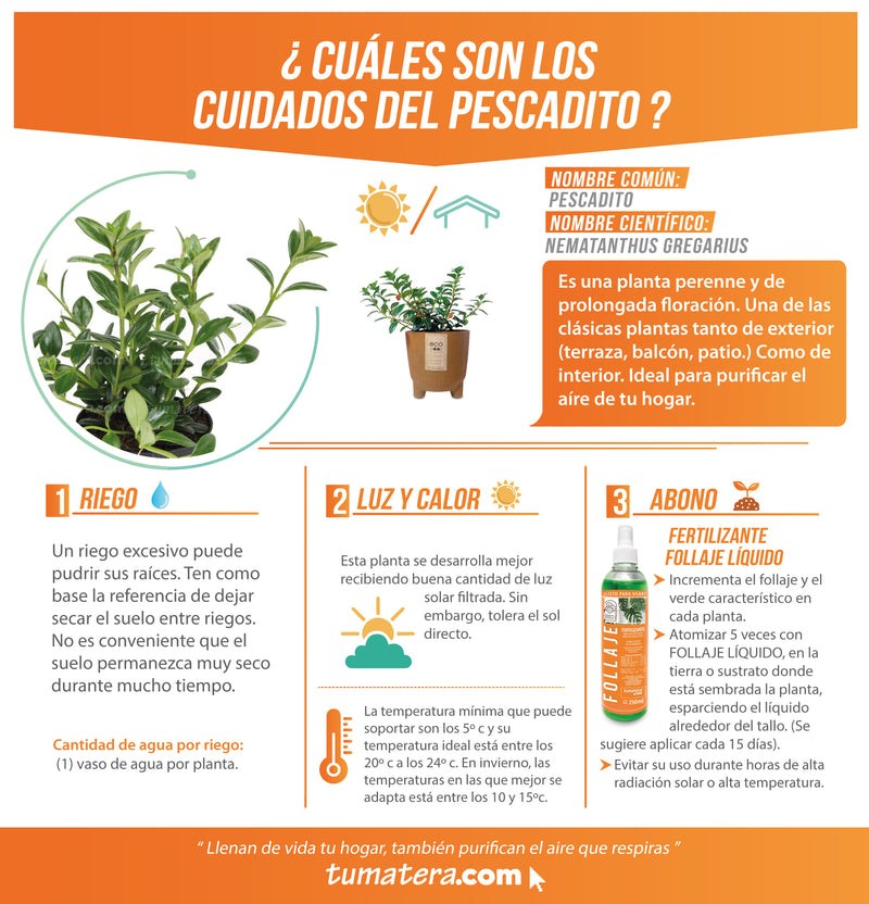 Combo Matera Ryfo N Eco 15 Cm Con Pescadito