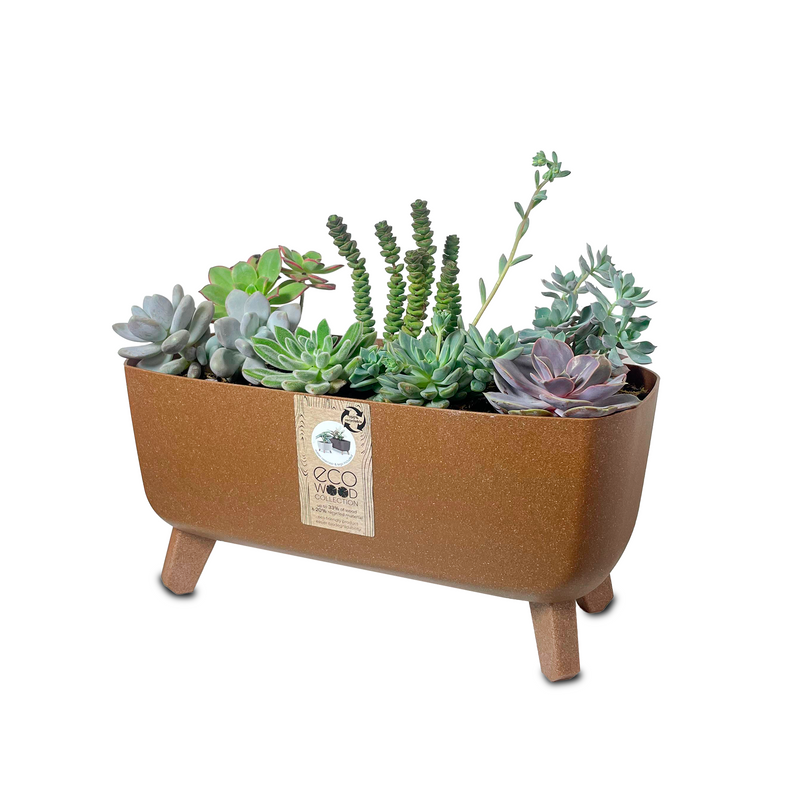 Combo Matera Gracia Case Eco 39 Cm + Terrario Suculentas