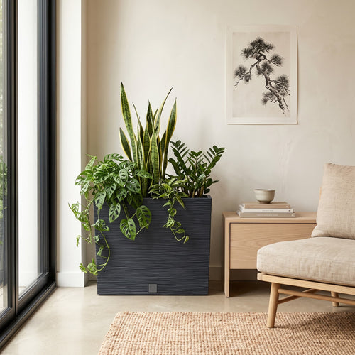 Jardinera_Furu_case_58_x_50_cm - ambiente #ia - Tumatera.co