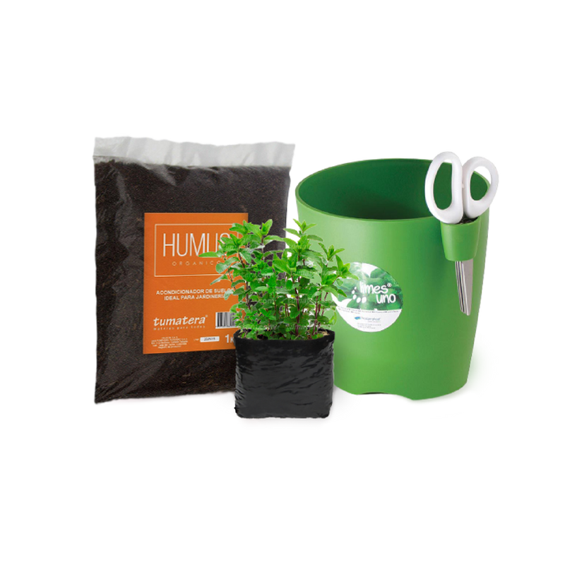 Kit Eco Aromatica Hierbabuena - Tumatera.co