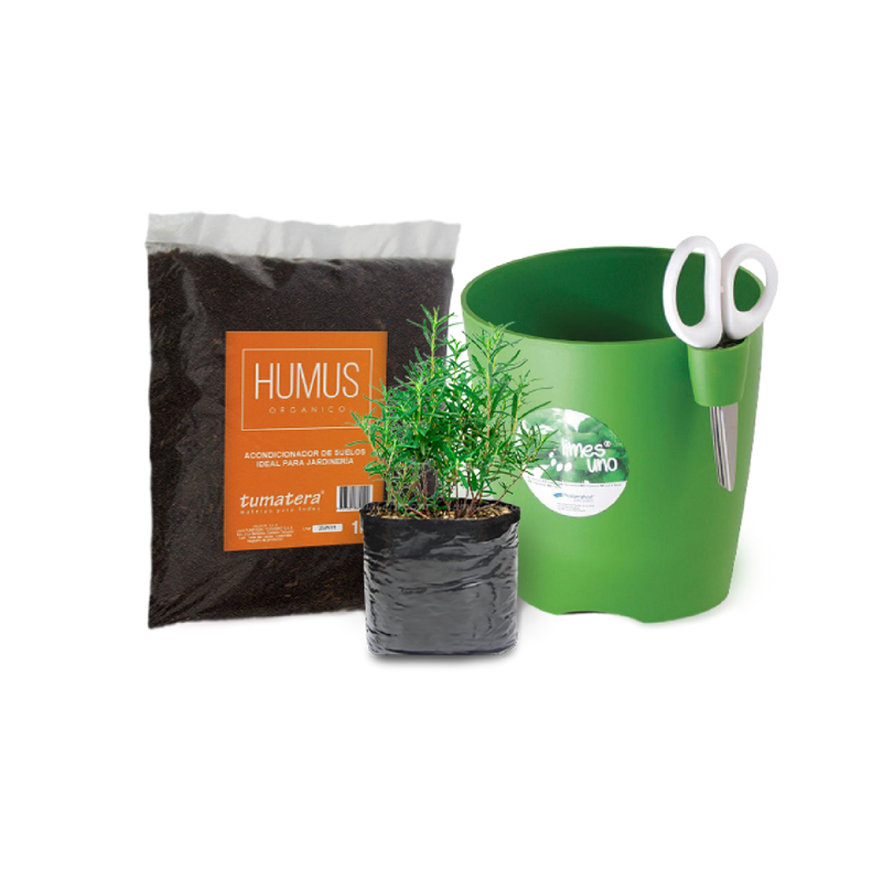 Kit Eco Aromatica Romero - Tumatera.co