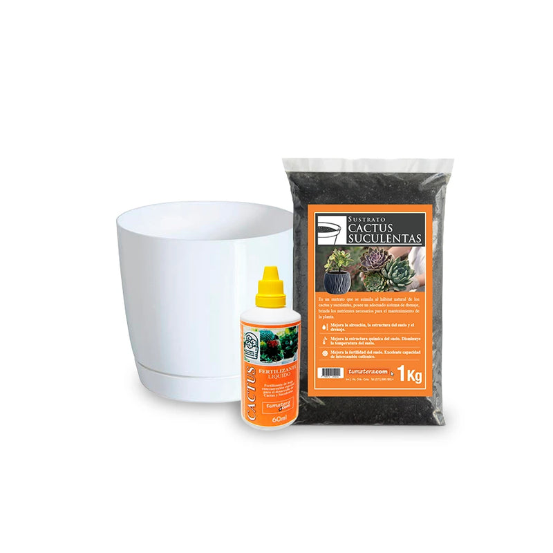 Kit para tus Suculentas - Tumatera.co