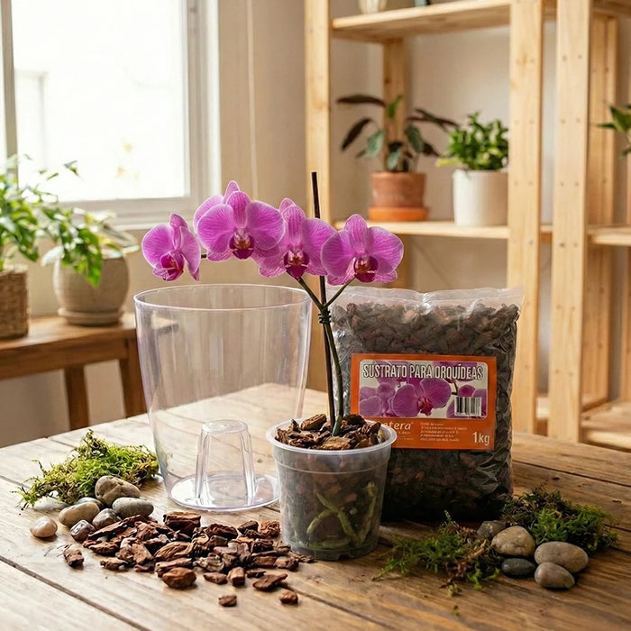Kit Orquídea Basico - Tumatera.co