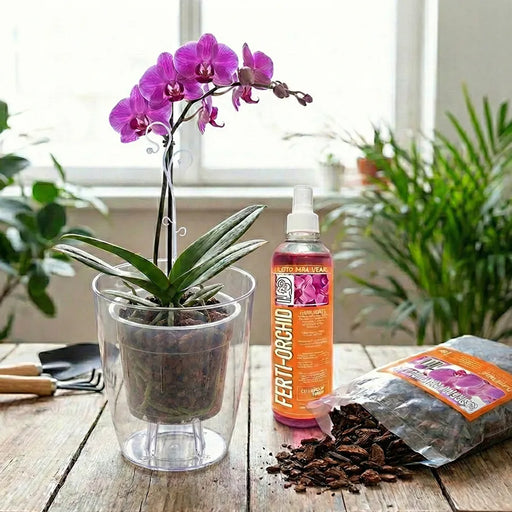 Kit Orquídea Full - Tumatera.co