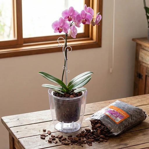 Kit Orquidea Medium - Tumatera.co