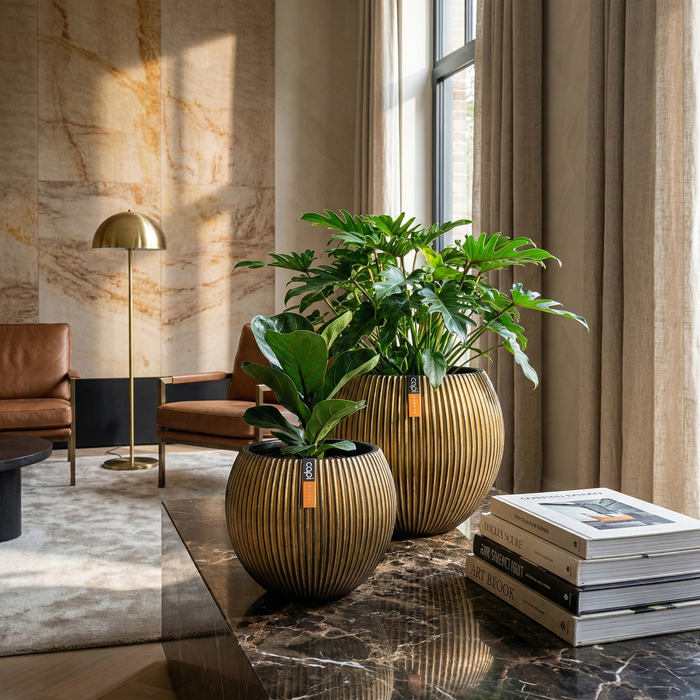 Kit Ball Groove Gold