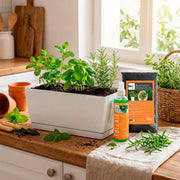 Kit para tus Aromaticas - ambiente #ia - Tumatera.co