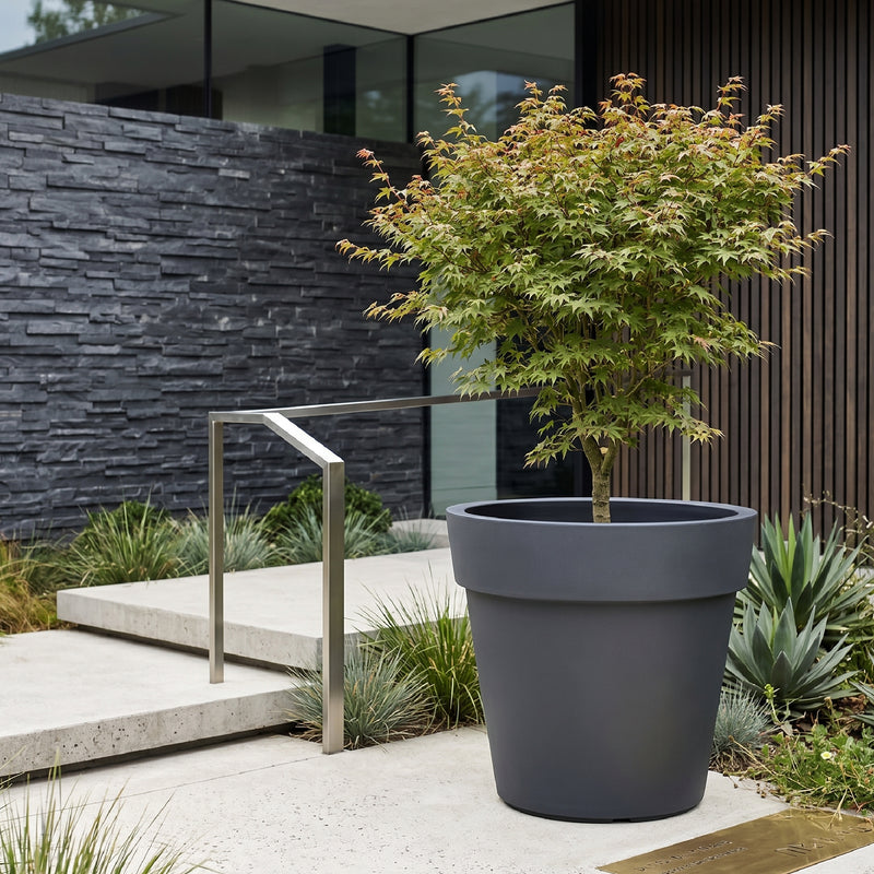 Matera Lira Elite 70 cm - ambiente antracita #ia - Tumatera.co