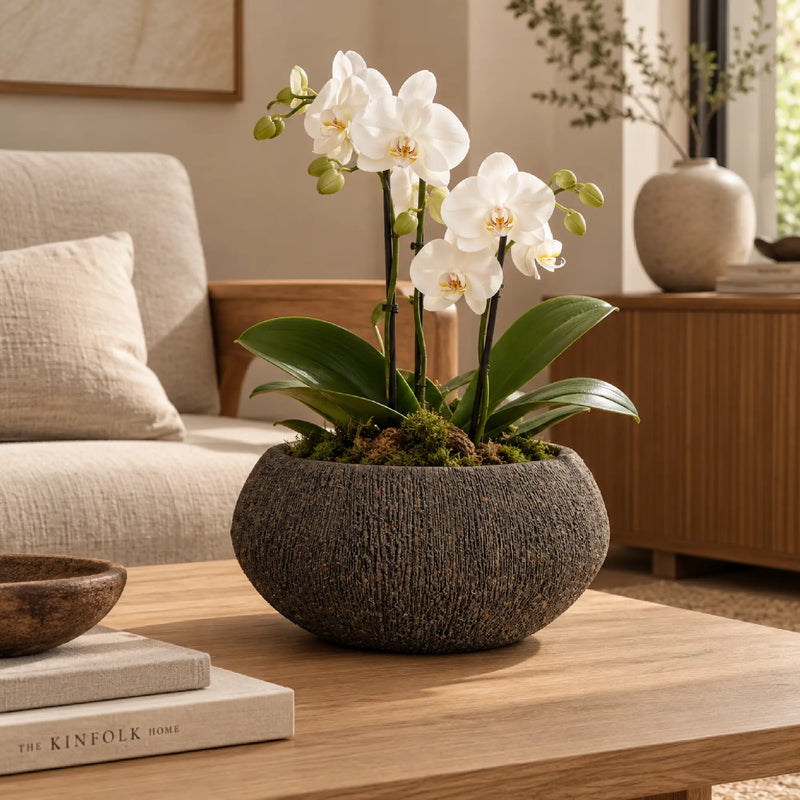 Bowl Ceramica Artesanal 23 cm - ambiente #ia - Tumatera.co