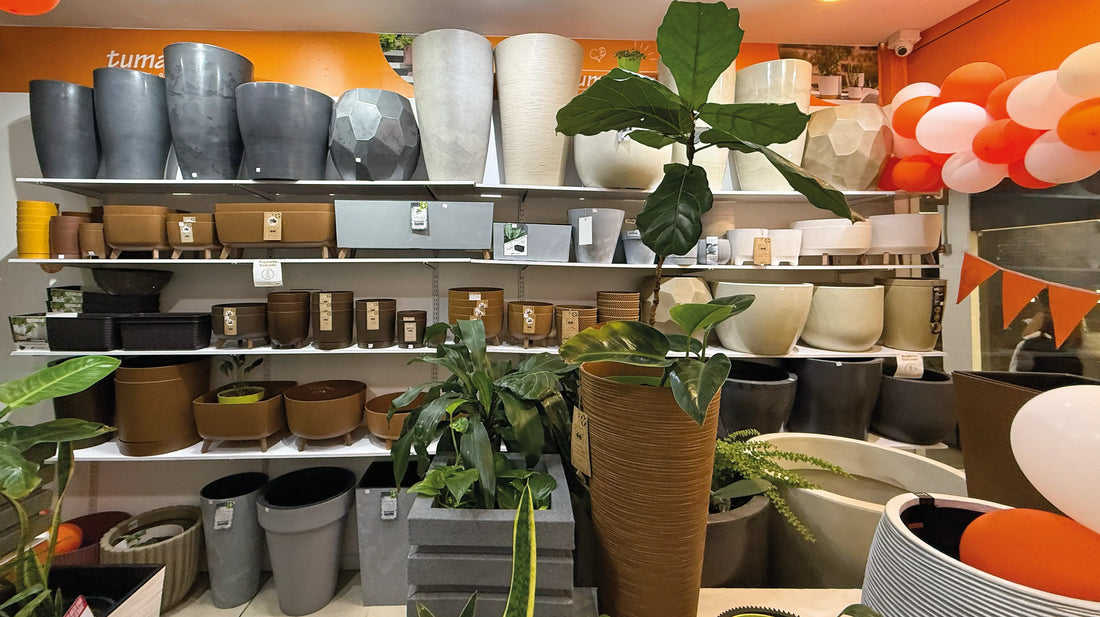 Tumatera IDEO Medellín