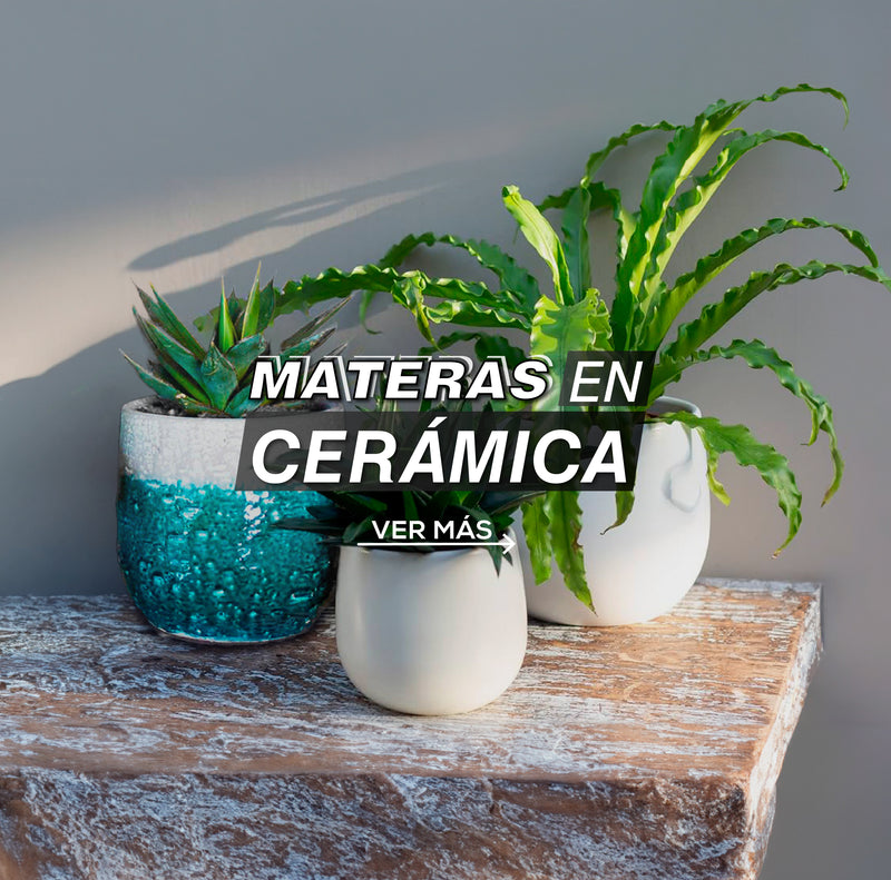 Materas en cerámica - Tumatera.com