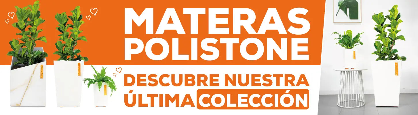 Materas Polistone - Tumatera.com