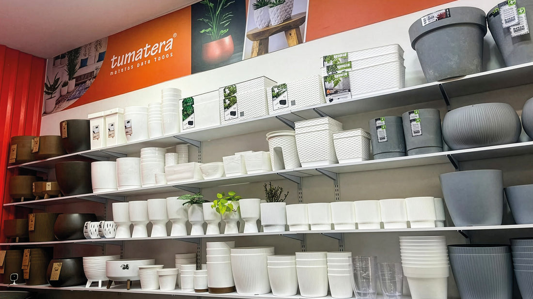 Tumatera C.C Santafé