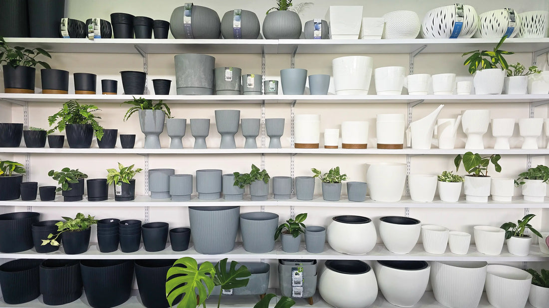 Showroom Distribuidores