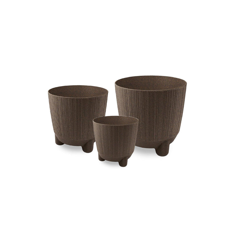 TRIO CON ESTILO RYFO N ECO - Tumatera.co