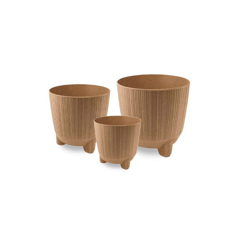 TRIO CON ESTILO RYFO N ECO - Tumatera.co