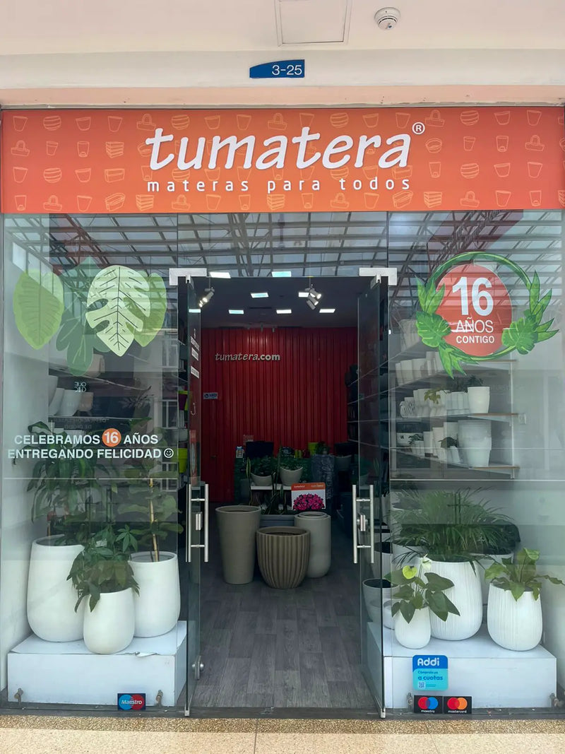 Tumatera C.C Santafé