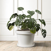 Matera Venere 55 cm - ambiente blanco #ia - Tumatera.co