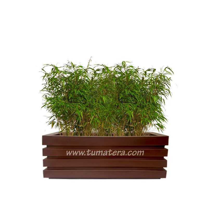 Combo Jardinera 90 Cm Con Bambus - Tumatera.co