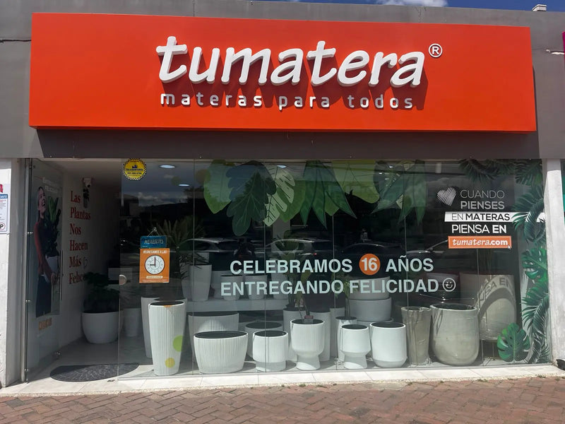 Tumatera Cajicá
