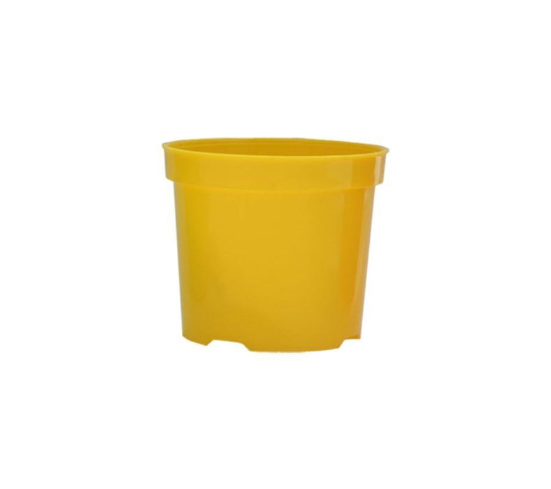 Matera Pequeña 14 Cm