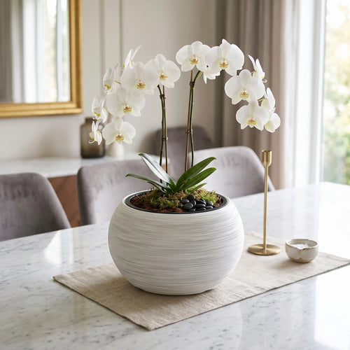 Matera furu bowl blanco - ambiente #ia - Tumatera.co