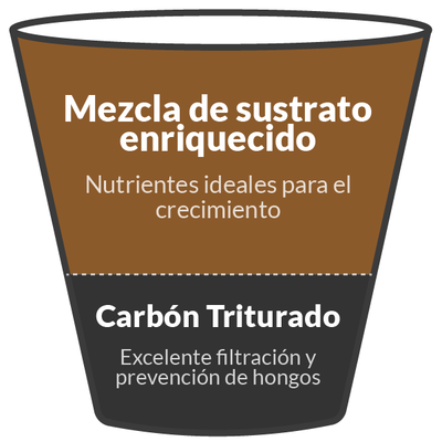Capas de sustrato