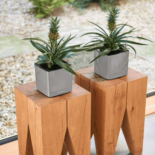 MATERA INTELIGENTE AUTORREGANTE CUBE GLOSSY 14 CM - Tumatera.co